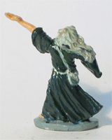 Wizard Back